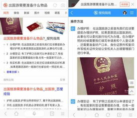 從汪仔答題助手看搜索的自我進化與翻譯服務(wù)