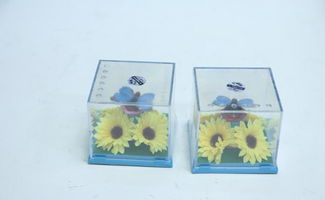 廠家直銷，精選韓版毛絨玩具 從婚慶公仔到潮流大號娃娃的全方位指南